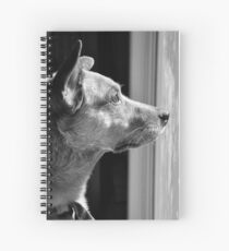 Sec... Spiral Notebook