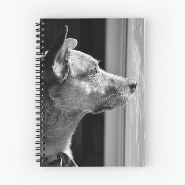 Item preview, Sec... designed and sold by SamTheCowdog.