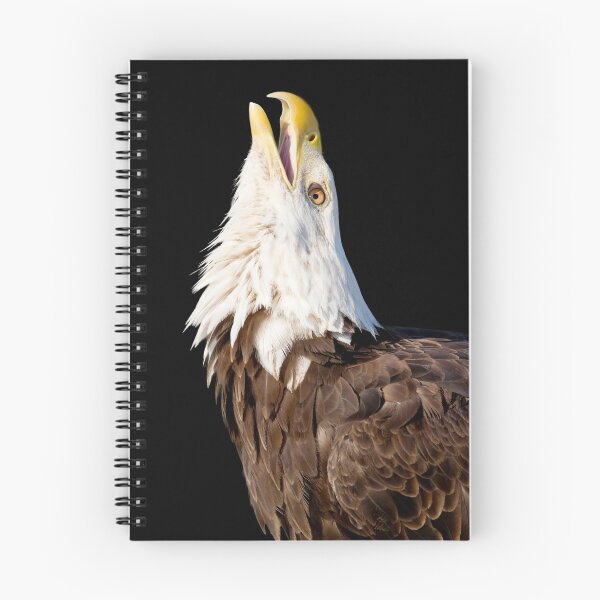 Item preview, Screaming Eagle designed and sold by Janet Fikar.