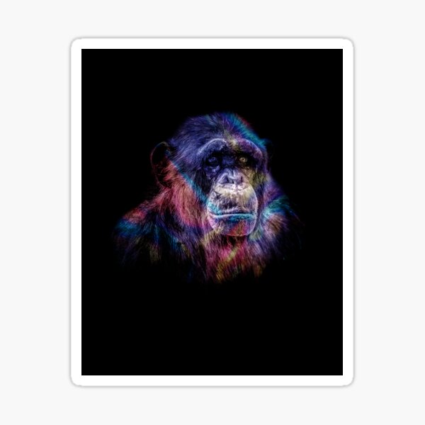 Chimp Sticker