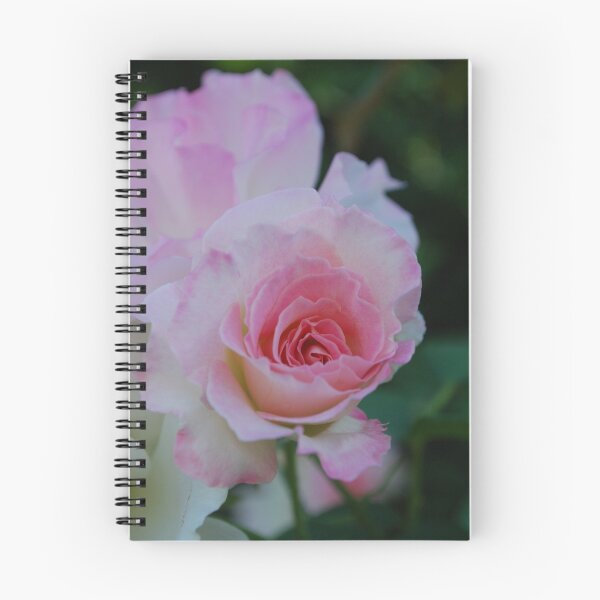 Item preview, All The Day Long designed and sold by Lozzar Flowers & Art.