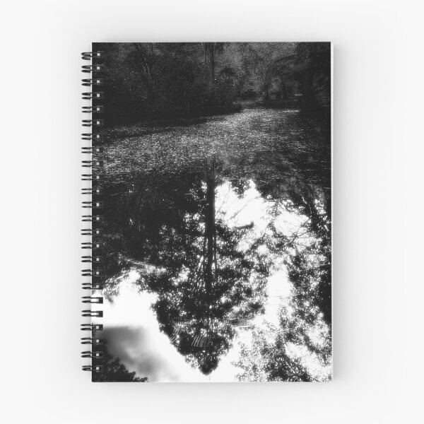 Aperçu de l'œuvre Tall Reflection créée et vendue par JasonGreen.