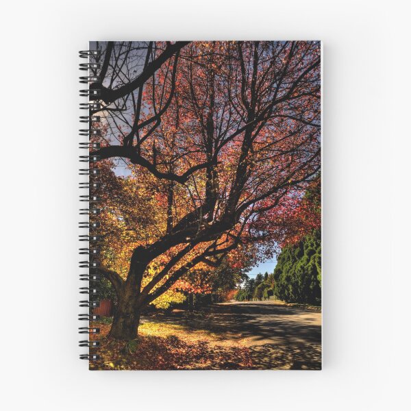 Item preview, Out On A Limb - Leura , Blue Mountains - The HDR Experience designed and sold by Salieri1627.