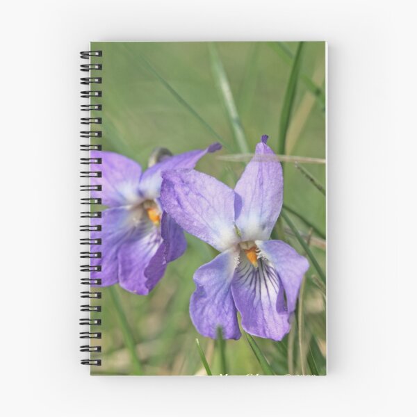 Item preview, Sweet Violet, Viola odorata designed and sold by pogomcl.