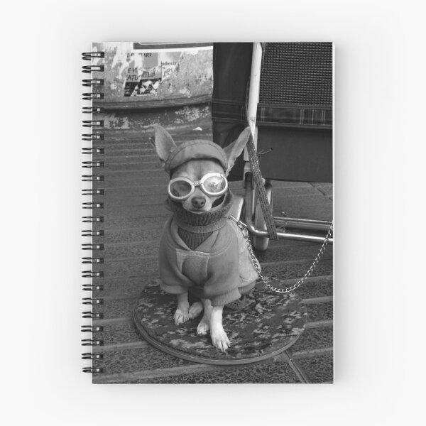 Item preview, THE SIDEKICK designed and sold by Redtempa.