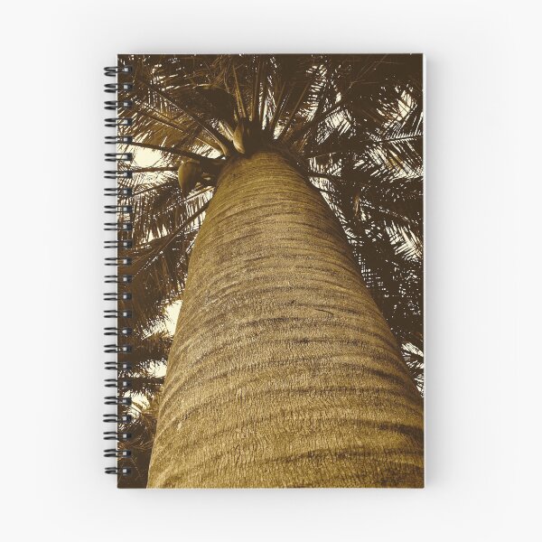Item preview, Palm Tree, Rosselba le Palme designed and sold by itchingink.