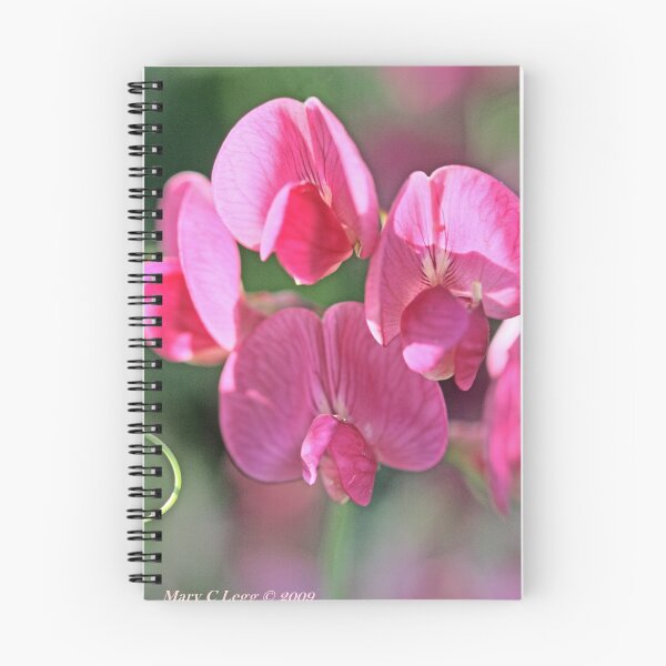 Item preview, Sweet pea, Lathyrus odoratus designed and sold by pogomcl.