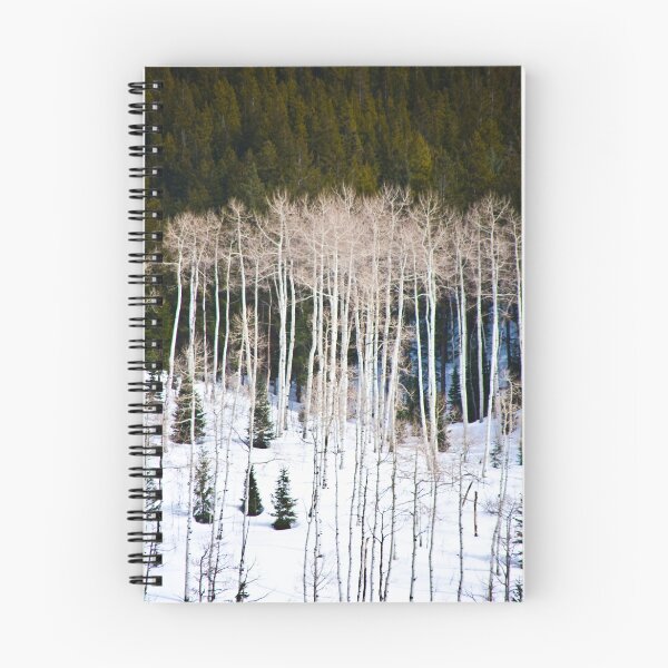 Aperçu de l'œuvre Empty Aspens créée et vendue par phil decocco.