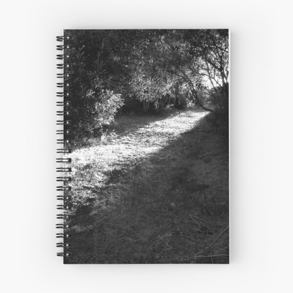 Item preview, Shade designed and sold by photorealm.
