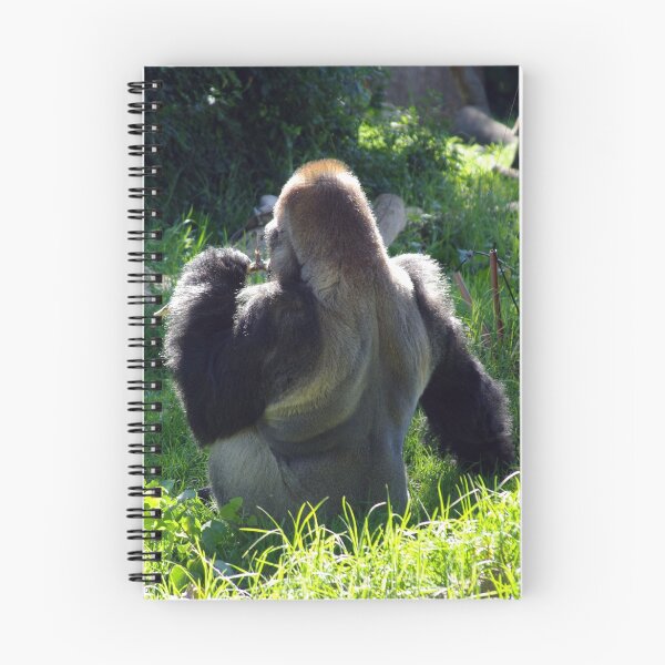Item preview, MÚSCULOS DE PLATA. designed and sold by Helen Akerstrom Photography.