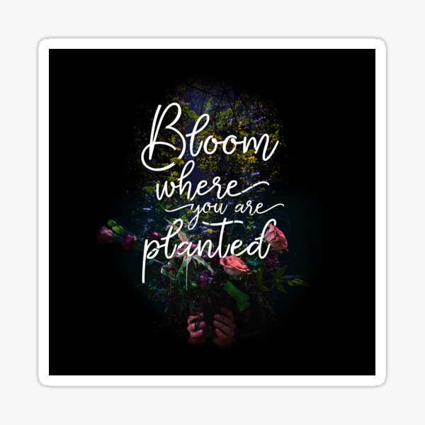 Bloom Where You Are Planted Sticker for Sale by saivi