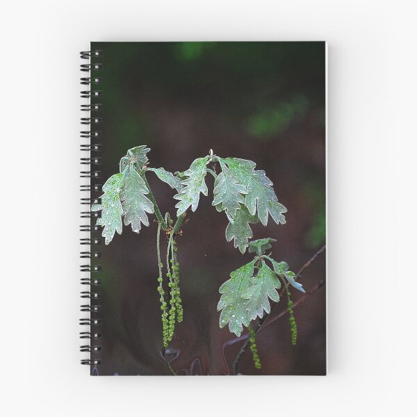 Item preview, The Mighty Oak designed and sold by Anne Smyth.