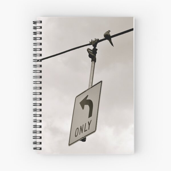 Item preview, Nonconformist Bird On A Wire... designed and sold by Ainsley Kellar Creations.