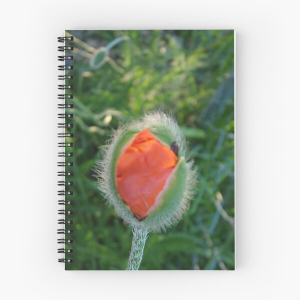 Item preview, budding poppy designed and sold by patticake.