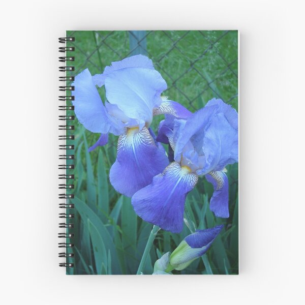 Item preview, iris beauties designed and sold by patticake.