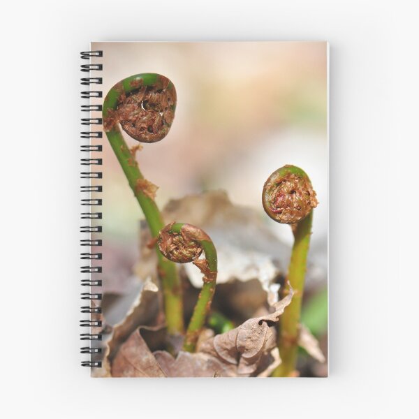 Item preview, Fiddleheads designed and sold by Nancy Barrett.