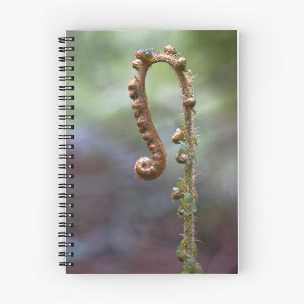 Item preview, little curly plant thingy designed and sold by Lisa Kenny.