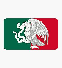 Reimagined Mexican Flag Photographic Print