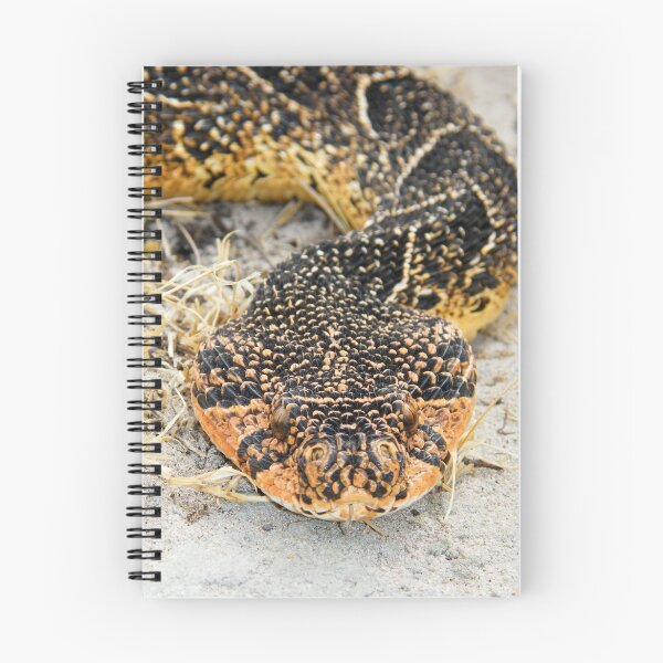 Item preview, Puff Adder designed and sold by Robbie Labanowski.