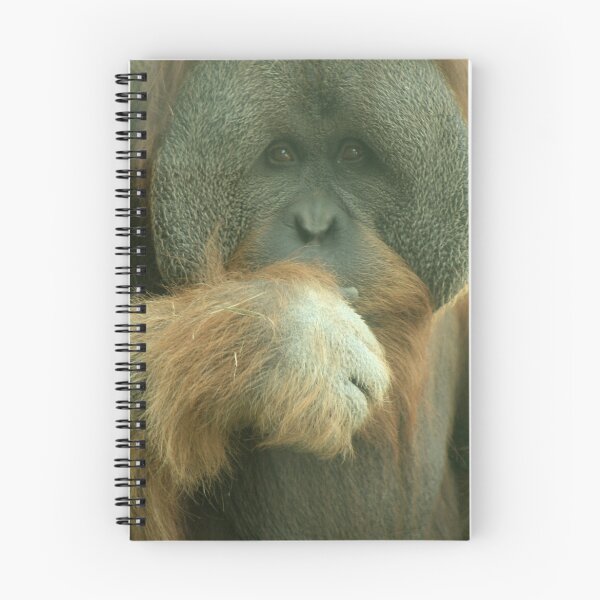 Item preview, Sumatran Orangutan designed and sold by starbucksgirl26.