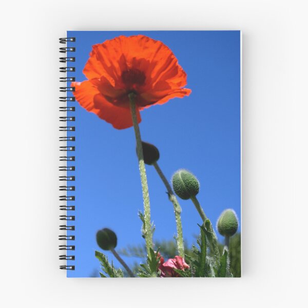 Item preview, Poppy-2 designed and sold by Hiroshi  Maeshiro.