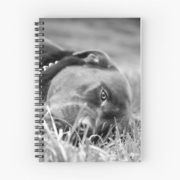 Item preview, Dog 9799 b&w designed and sold by João Castro.