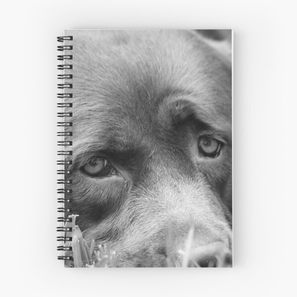 Item preview, Dog 8788 b&w designed and sold by João Castro.