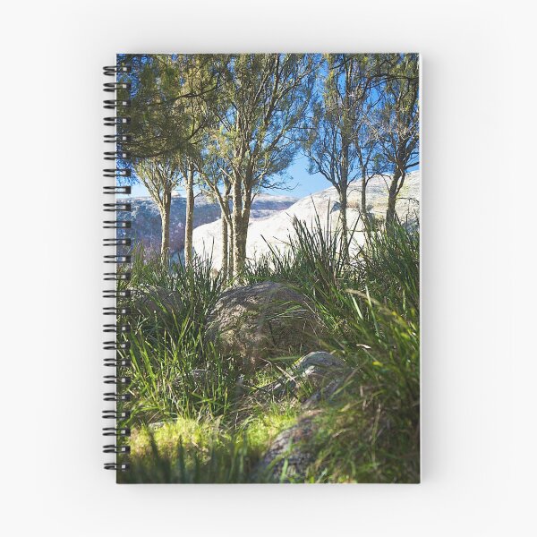 Item preview, evans crown | native grass | native trees designed and sold by linelight.