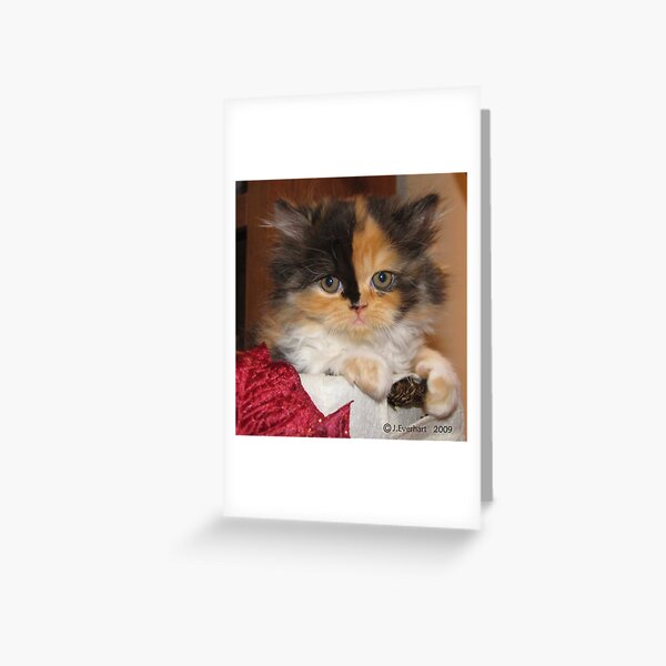 So Calm Greeting Card