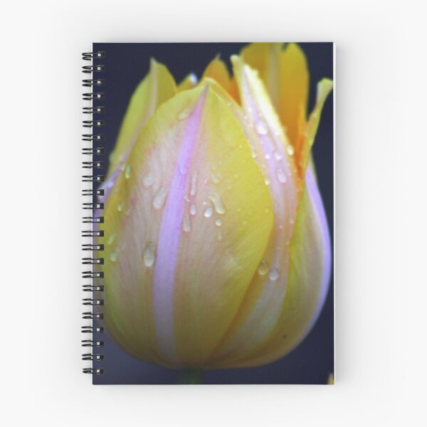 Item preview, Dewey designed and sold by Rhonda  Thomassen.