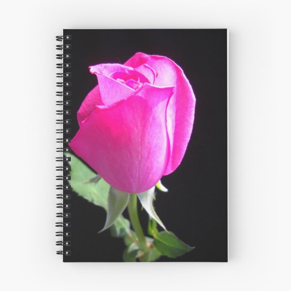 Item preview, Pink Gentle Bud. designed and sold by Vitta.