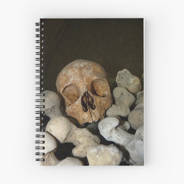Item preview, The Silent Scream designed and sold by Patrick Noble.