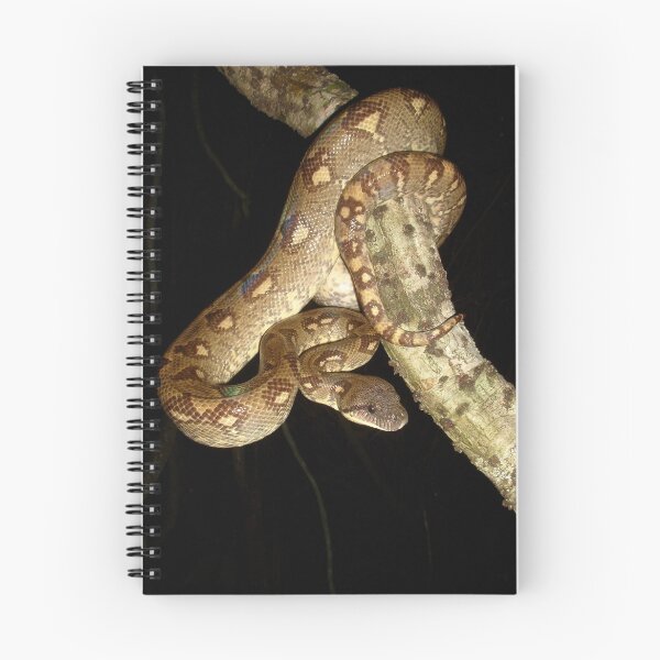 Item preview, Madagascar Tree Boa designed and sold by Robbie Labanowski.