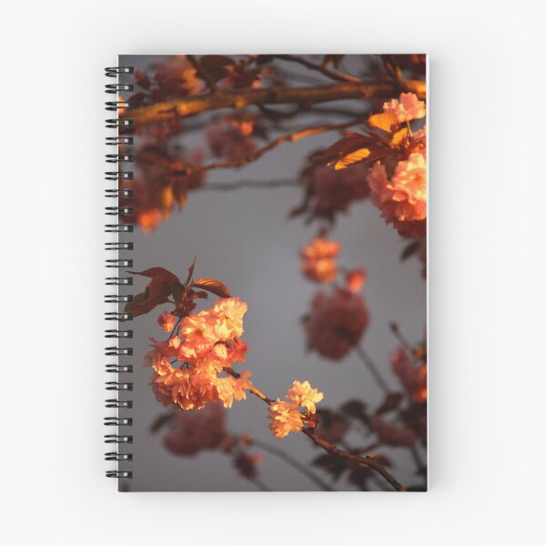 Item preview, Sunset on my blossoms designed and sold by Sonia Stewart.