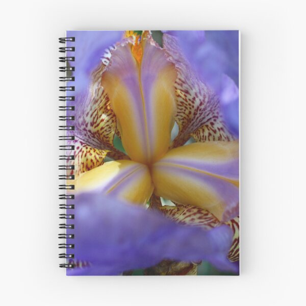 Item preview, Inner Beauty designed and sold by Angela Bashline.