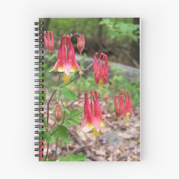 Item preview, Wild Columbine designed and sold by Dandelion Dilluvio.