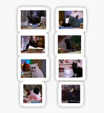 SALEM PACK Sticker