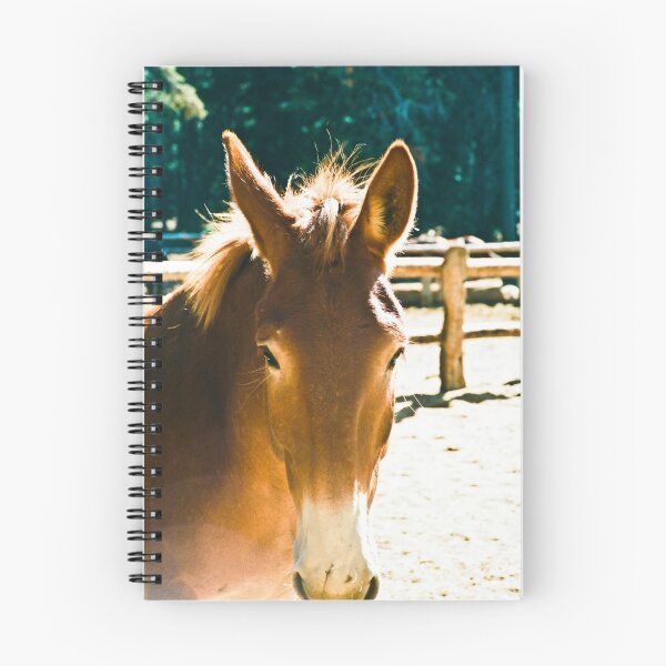 Item preview, Corn of the Cob Stubborn Draft Mule designed and sold by Nancy Stafford.