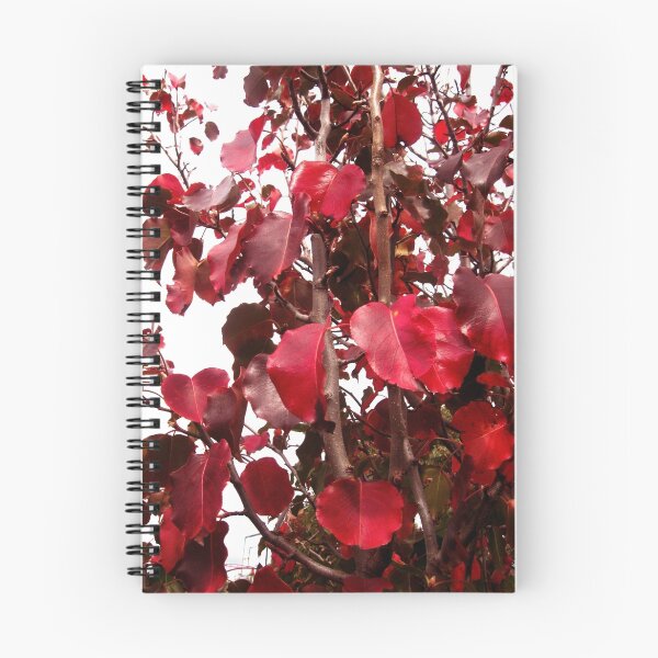 Artikelvorschau, Autumn Beginning entworfen und verkauft von Tara Schultz.