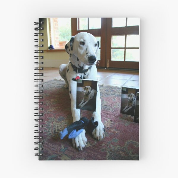 Item preview, Sammi is still a Superstar! designed and sold by Denzil.