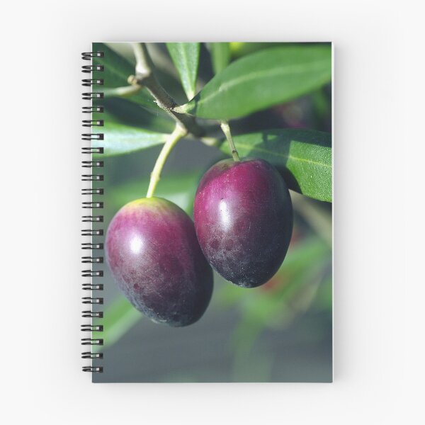 Item preview, olives designed and sold by Cheryl Ribeiro.