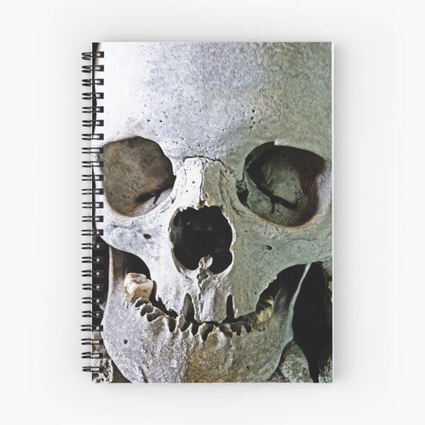 Item preview, Skullduggery designed and sold by Kim Slater.