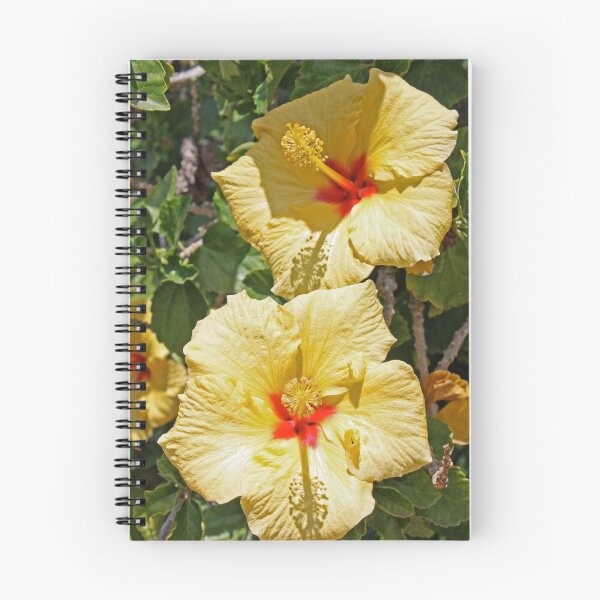 Item preview, Hello Sunshine, Hibiscus designed and sold by Kelley Shannon.