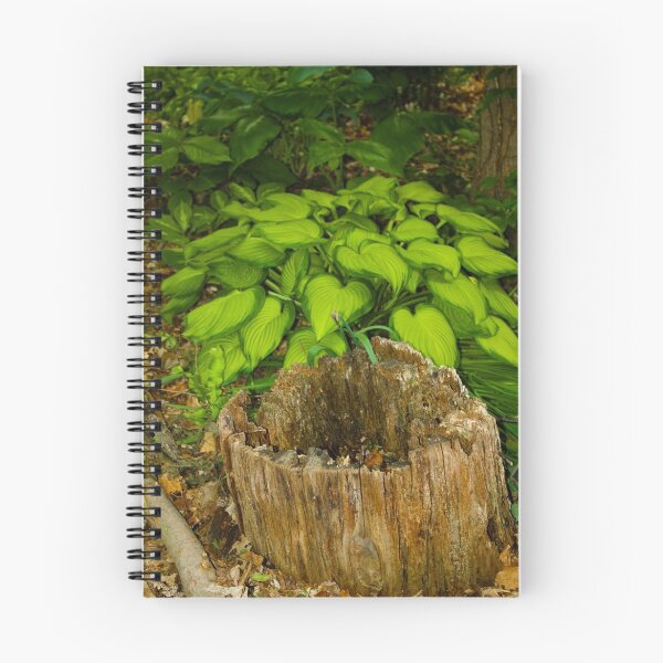 Item preview, ALONG THE WOODED PATH designed and sold by Pauline Evans.