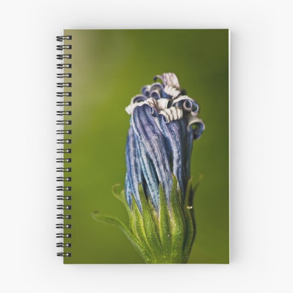 Item preview, Swan River Daisy designed and sold by Samuel Gundry.