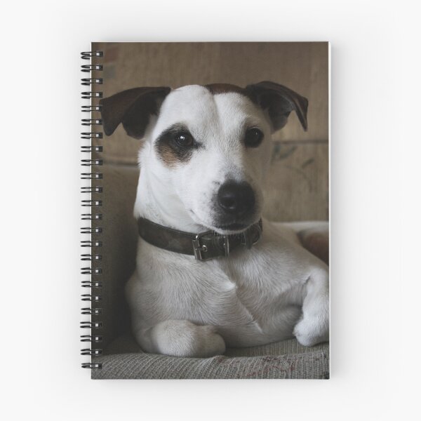Item preview, Ted designed and sold by Sammi Johnson.