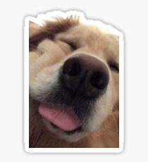 Venkman's Smoosh Face Sticker