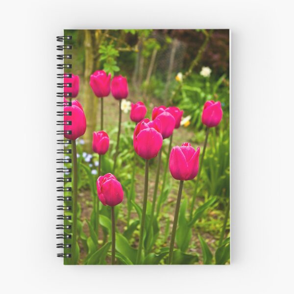Item preview, Tulips (Spring-Early May) designed and sold by Trevor Kersley.
