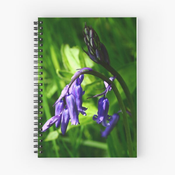 Item preview, Bluebell designed and sold by Anne Kingston.