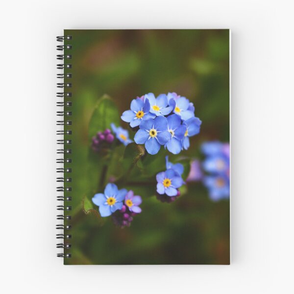 Item preview, Forget-me-not flowers designed and sold by Anne Kingston.